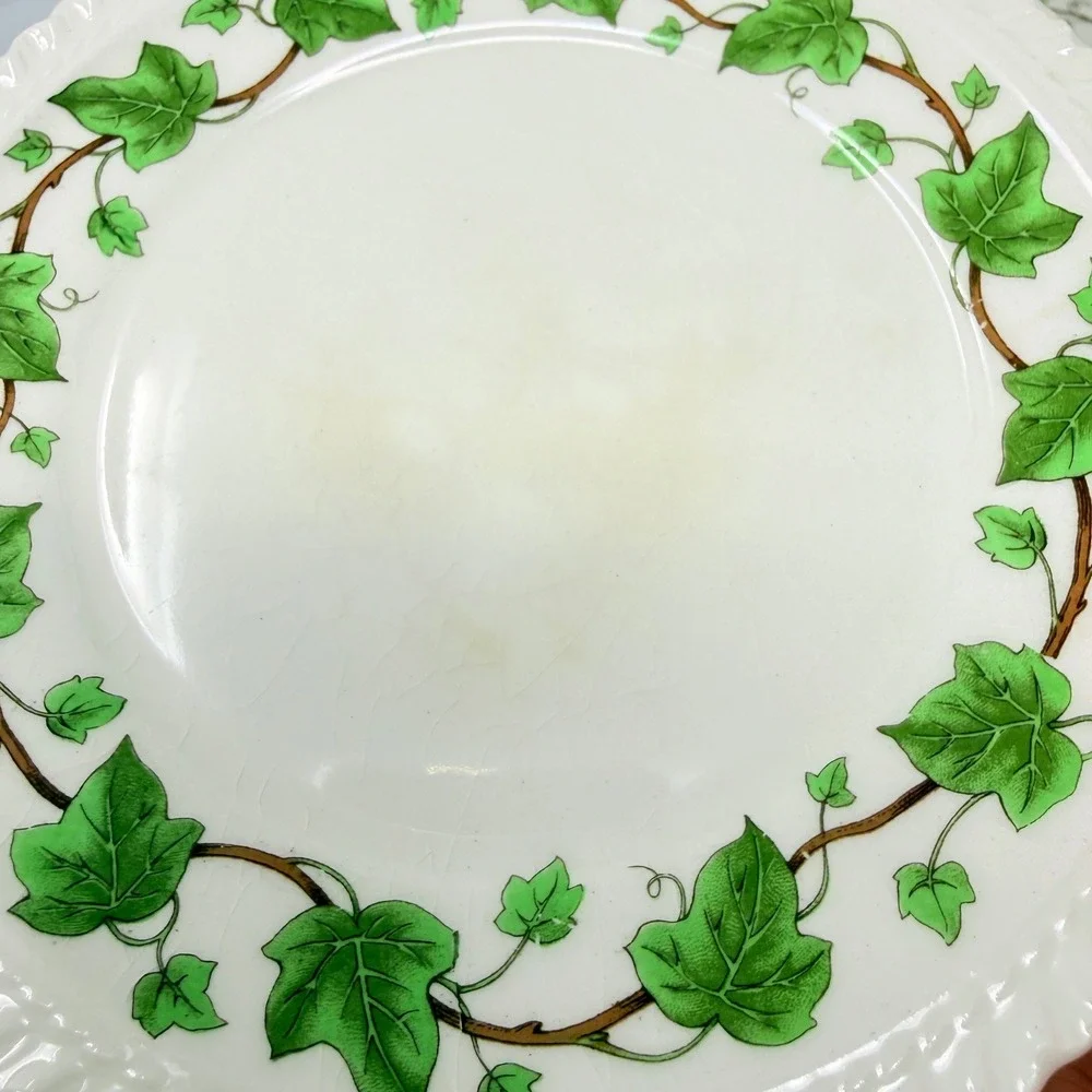 Harker Pottery Royal Gadroon Mixed Plate Lot 8pc Grape Ivy Scalloped 9.25in USA